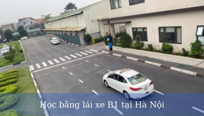Học bằng lái xe hạng B1 tại Hà Nội