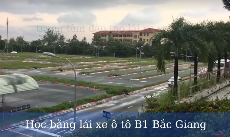 Học bằng lái xe ô tô B1 Bắc Giang