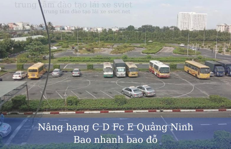 Nâng hạng C D Fc E Quảng Ninh Bao nhanh bao đỗ