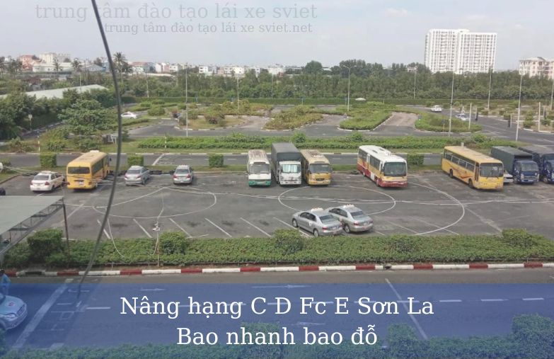 Nâng hạng C D Fc E Sơn La Bao nhanh bao đỗ