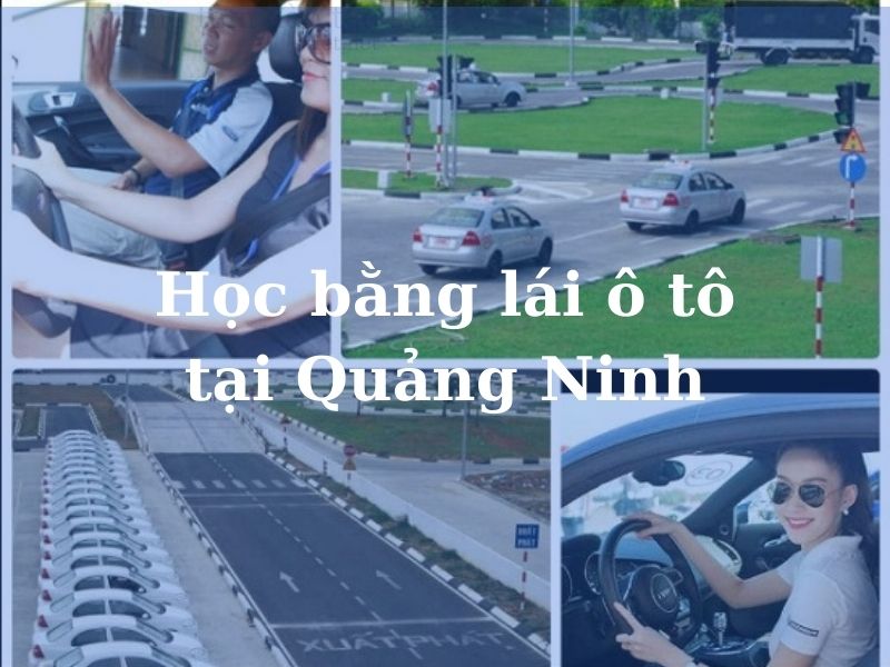 Học bằng lái ô tô tại Quảng Ninh