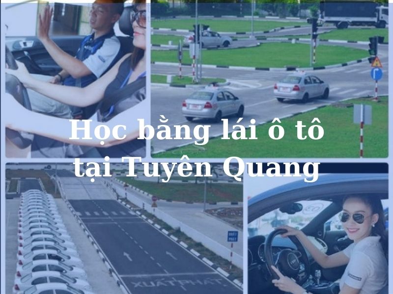 Học bằng lái ô tô tại Tuyên Quang