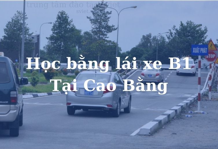 Học bằng lái xe B1 Tại Cao Bằng