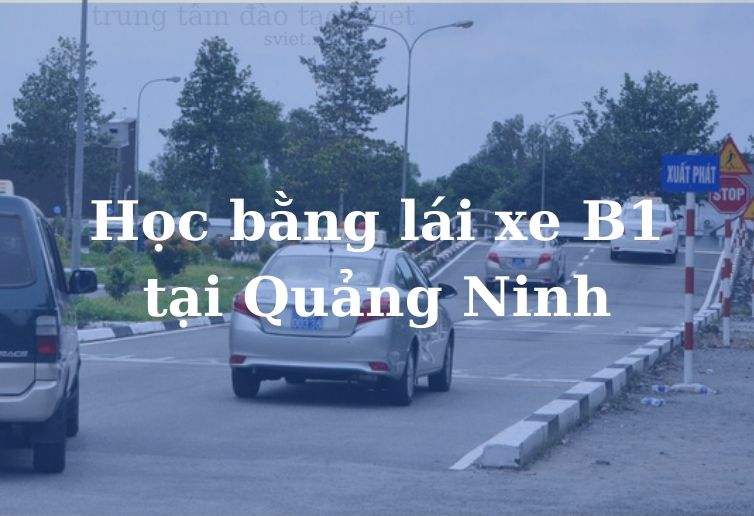 Học bằng lái xe B1 Tại Quảng Ninh