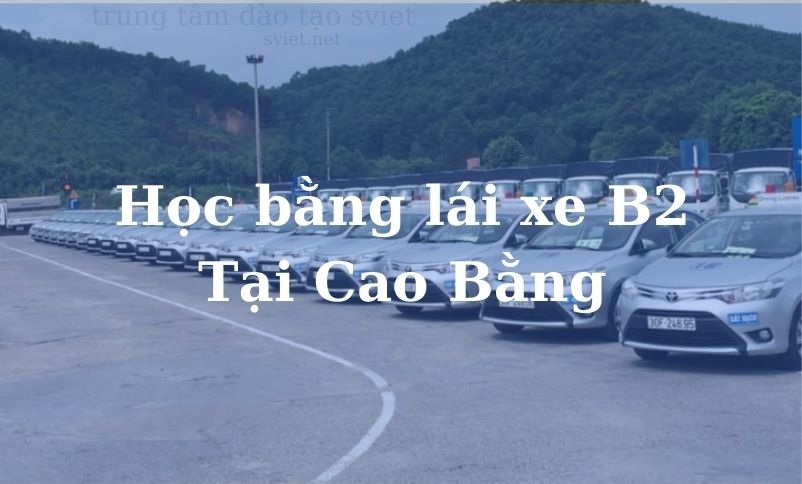 Học bằng lái xe B2 Tại Cao Bằng