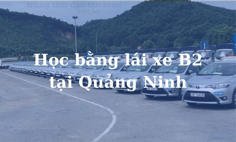 Học bằng lái xe B2 Tại Quảng Ninh