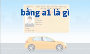 bằng a1 là gì