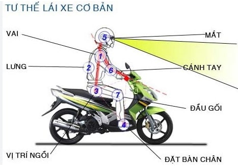 Tại sao lại bị đau lưng khi lái xe máy Cách khắc phục như sau