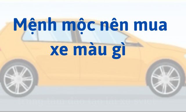 Mệnh mộc nên mua xe màu gì