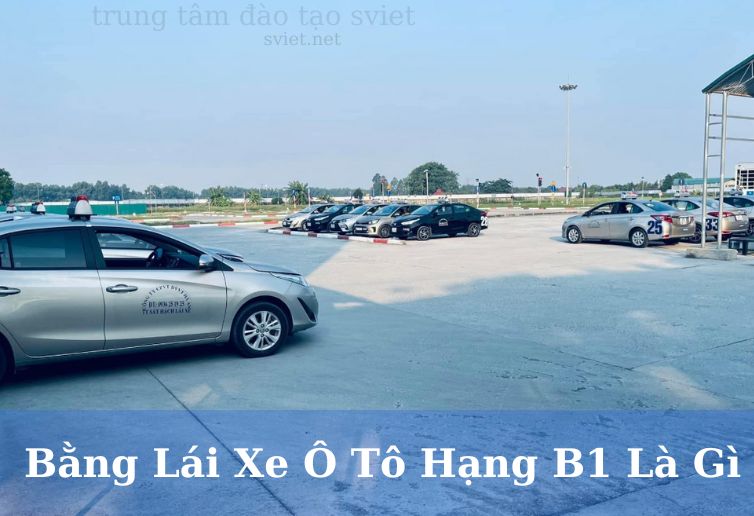 Thông tin về bằng lái xe ô tô B1 mọi người cần biết