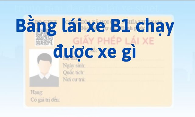 Bằng lái xe B1 chạy được xe gì | B11 và B12 là gì