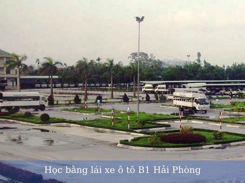 Trung tâm học bằng lái xe ô tô B1 Hải Phòng