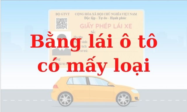 Bằng lái ô tô có mấy loại Giải nghĩa tất cả về bằng lái ô tô